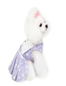 Ropa-para-mascotas-Dog-Cat-Dress-Spring-and-Summer-Mascota-Falda-Tamano-XL-AZUL-TBD0572036105A